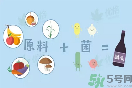 酵素是什么？吃酵素減肥有效果嗎？