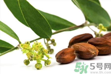 荷荷巴油可以直接擦臉嗎？荷荷巴油怎么去黑頭？