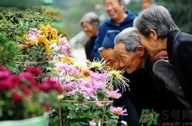 重陽節(jié)是陰歷還是陽歷？重陽節(jié)是什么意思？