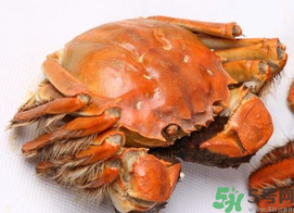 河蟹死了一天能吃嗎？河蟹死了多久不能吃？