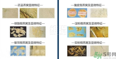 去香港買燕窩哪里好？香港哪里買燕窩比較好正宗？