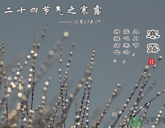 寒露是什么意思？寒露是幾月幾日