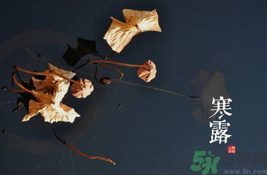 寒露是什么意思？寒露是幾月幾日
