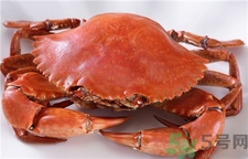 青蟹怎么保存不會(huì)死?三門青蟹怎么保存?