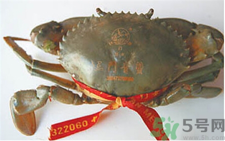 青蟹怎么保存不會(huì)死?三門青蟹怎么保存?