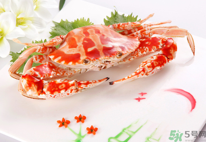 梭子蟹和花蟹的區(qū)別？梭子蟹和花蟹哪個好吃？