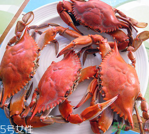 梭子蟹和飛蟹的區(qū)別？飛蟹是梭子蟹嗎？