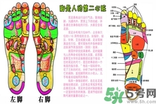 孕婦可以用生姜泡腳嗎？生姜泡腳的方法是什么？