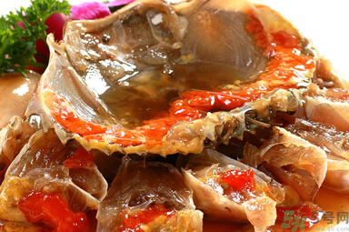 膏蟹是河蟹還是海蟹？膏蟹是什么蟹？