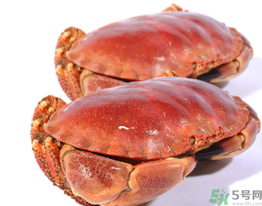 面包蟹多少錢一斤？面包蟹多少錢一只？