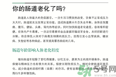 引起腸道老化的原因是什么？四種人腸道老化快