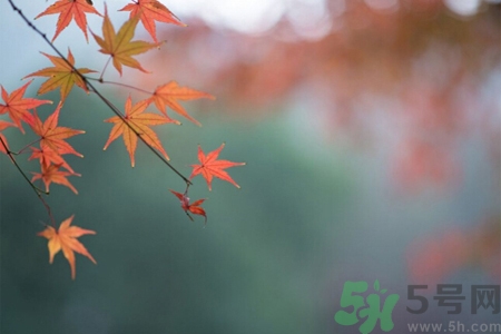 秋燥皮膚癢吃什么好？秋燥4妙招保護(hù)皮膚