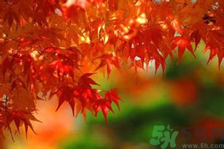 秋燥皮膚癢吃什么好？秋燥4妙招保護(hù)皮膚