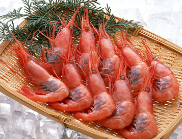 海蝦煮多長(zhǎng)時(shí)間熟？海蝦怎么煮？