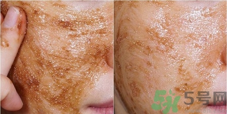 skin food思親膚適合什么年齡？思親膚適合多大年齡？