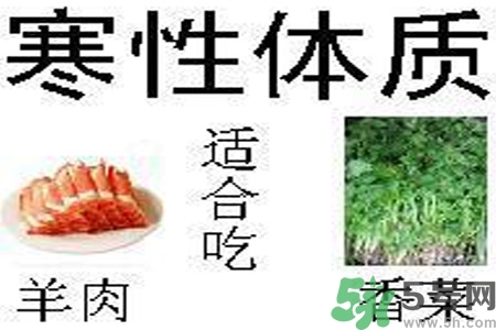 體質(zhì)虛怎么辦？體質(zhì)虛吃什么好？