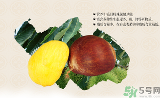 板栗和什么一起泡酒好？板栗泡酒的功效與作用有哪些？