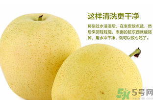 皇冠梨是雪梨嗎？皇冠梨和雪梨的區(qū)別