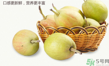 孕婦能吃香梨嗎？香梨孕婦可以吃嗎？