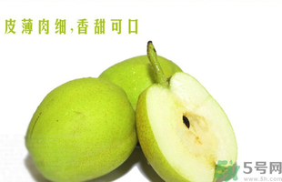 孕婦能吃香梨嗎？香梨孕婦可以吃嗎？