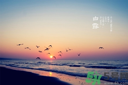 白露節(jié)吃什么？白露節(jié)的傳統(tǒng)美食有哪些？
