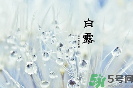 白露節(jié)吃什么？白露節(jié)的傳統(tǒng)美食有哪些？