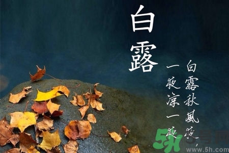 白露節(jié)吃什么？白露節(jié)的傳統(tǒng)美食有哪些？