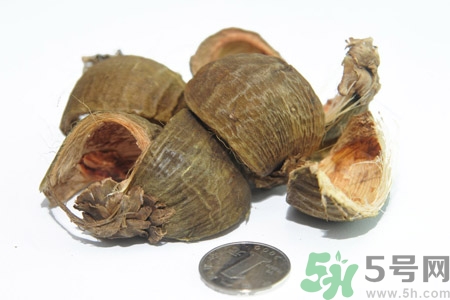檳榔致癌嗎？檳榔對身體有什么影響嗎？
