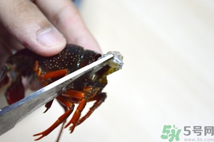 活蝦怎么處理干凈蝦線？活蝦怎么去蝦線？