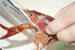活蝦怎么處理干凈蝦線？活蝦怎么去蝦線？
