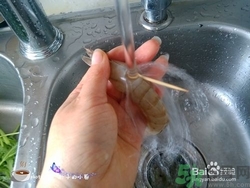 活蝦怎么處理干凈蝦線？活蝦怎么去蝦線？