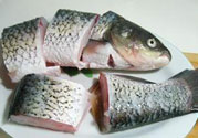 新鮮草魚(yú)怎么保存?草魚(yú)殺了怎么保存?