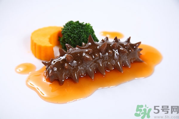 活海參和干海參哪個(gè)好？活海參好還是干海參好？
