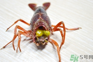 活蝦怎么處理干凈蝦線？活蝦怎么去蝦線？