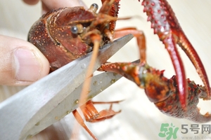 活蝦怎么處理干凈蝦線？活蝦怎么去蝦線？