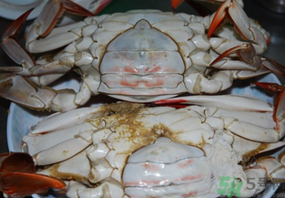 海蟹蒸多長(zhǎng)時(shí)間？海蟹蒸多長(zhǎng)時(shí)間最好吃？