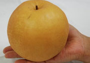 豐水梨的營(yíng)養(yǎng)價(jià)值 豐水梨的功效與作用