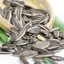 葵瓜子的營養(yǎng)價(jià)值 葵瓜子的功效與作用