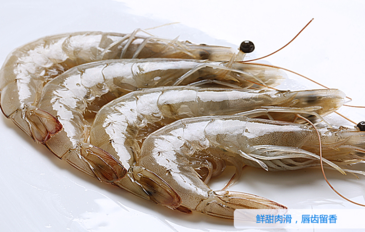 海蝦怎么保存？活海蝦怎么保存？