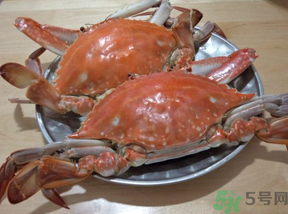海蟹蒸多長(zhǎng)時(shí)間？海蟹蒸多長(zhǎng)時(shí)間最好吃？