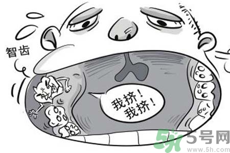 智齒拔了好不好？智齒能不拔嗎？