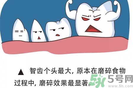 拔智齒一顆多少錢？拔除智齒收費(fèi)多少？