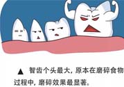 智齒拔了好不好？智齒能不拔嗎？