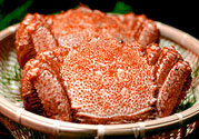 紅毛蟹怎么吃？紅毛蟹怎么做好吃？