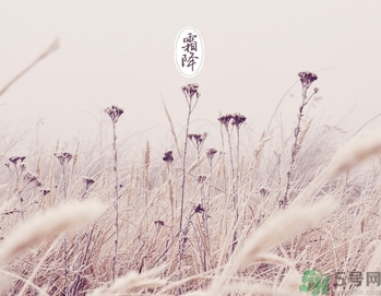 霜降是幾月幾日？霜降是什么意思？