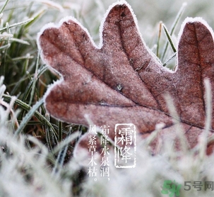 霜降出生的孩子好嗎？霜降出生的寶寶怎么取名？