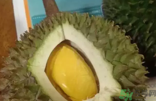榴蓮吃多了會怎么樣？榴蓮吃多了好嗎？