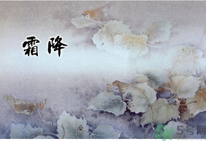 霜降為什么要吃柿子？霜降吃柿子有什么好處？