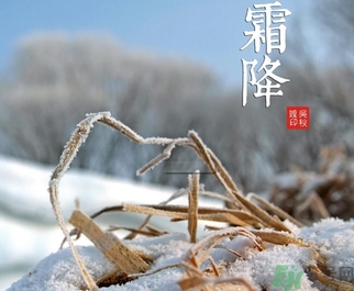 霜降為什么要吃柿子？霜降吃柿子有什么好處？