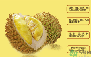 榴蓮不能和什么一起吃？吃榴蓮后不能吃什么？